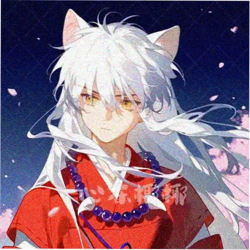 用户山顶的猫的头像